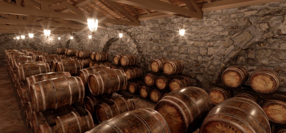 Aging and Maturation